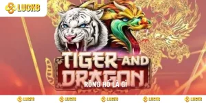 rồng hổ là gì